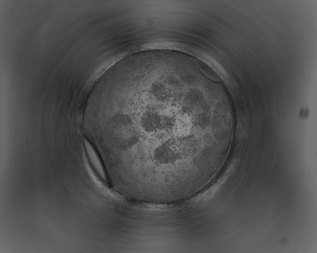 X0000093250849200710171424