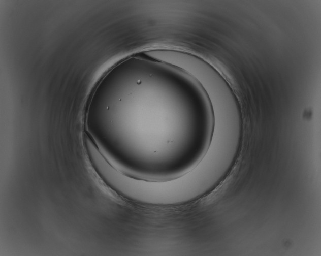 X0000093250854200710171424