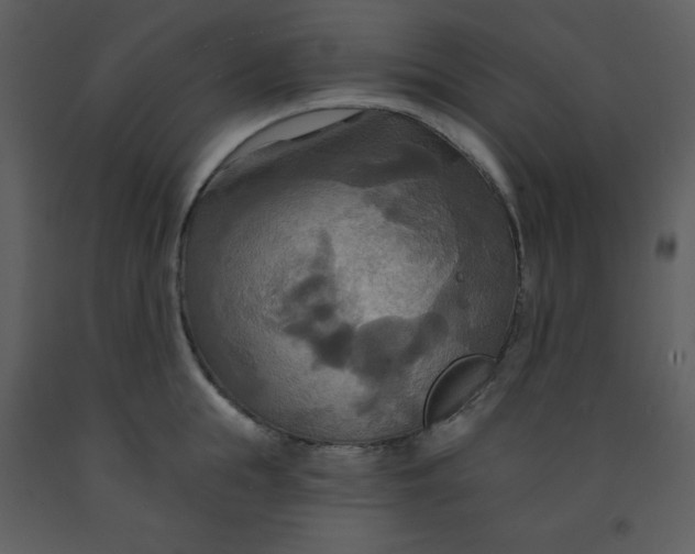 X0000093250855200710171424