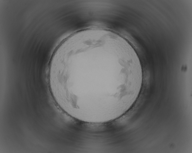 X0000093250856200710171424