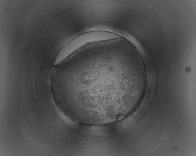 X0000093250857200710171424