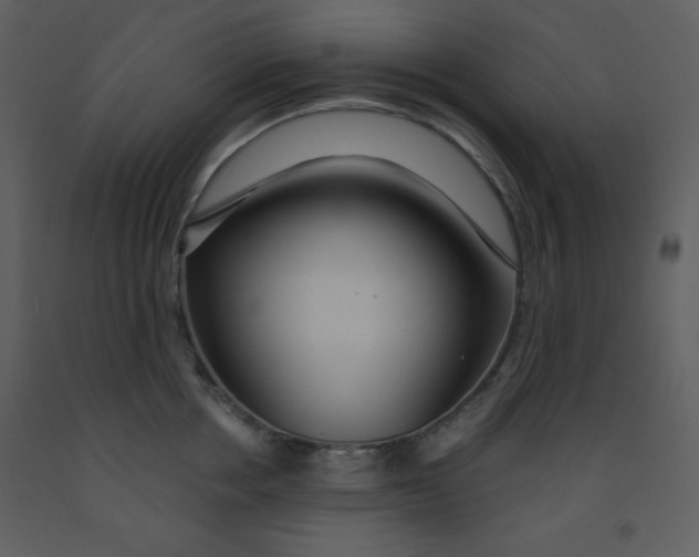 X0000093250858200710171424