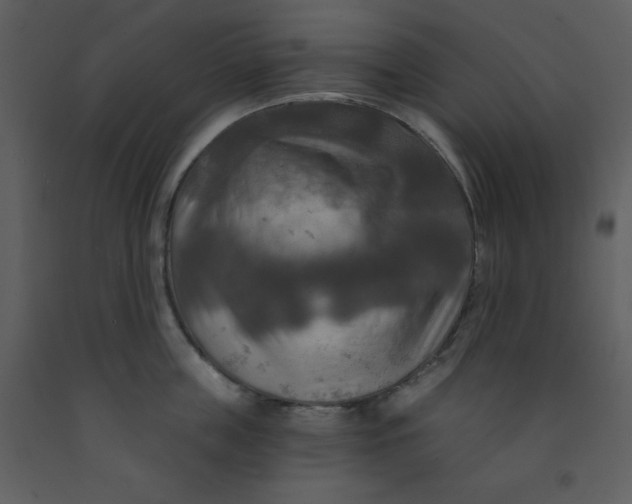 X0000093250859200710171424