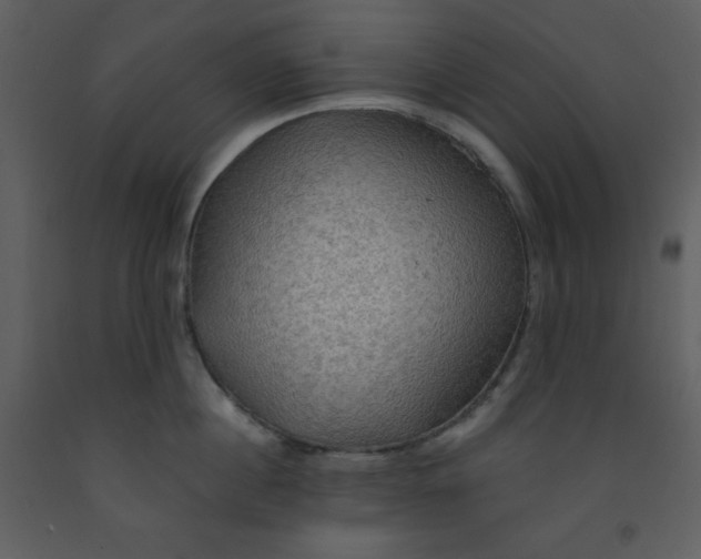 X0000093250860200710171424