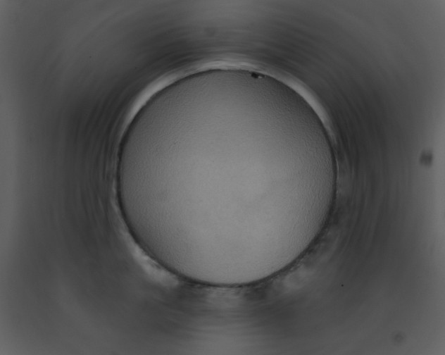 X0000093250861200710171424