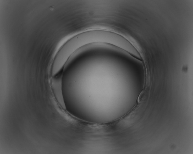 X0000093250862200710171424