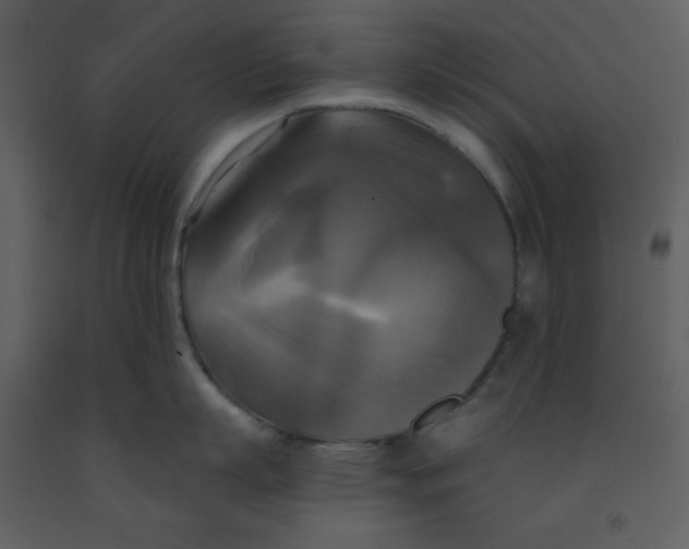 X0000093250863200710171424