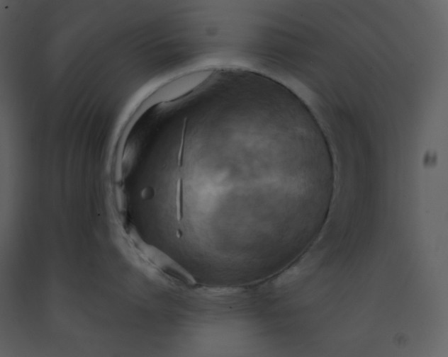 X0000093250864200710171424