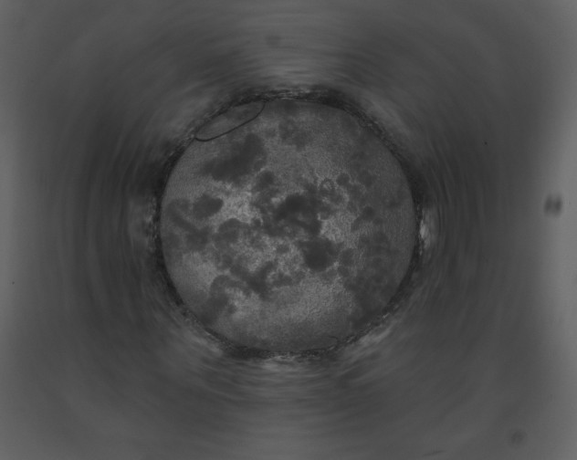 X0000093250867200710171423