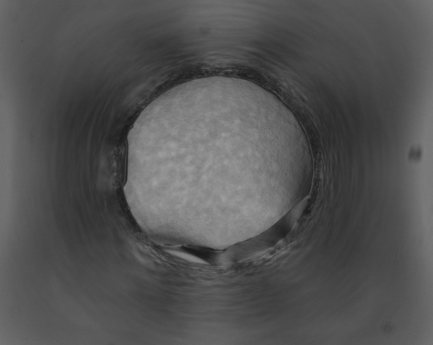 X0000093250868200710171423