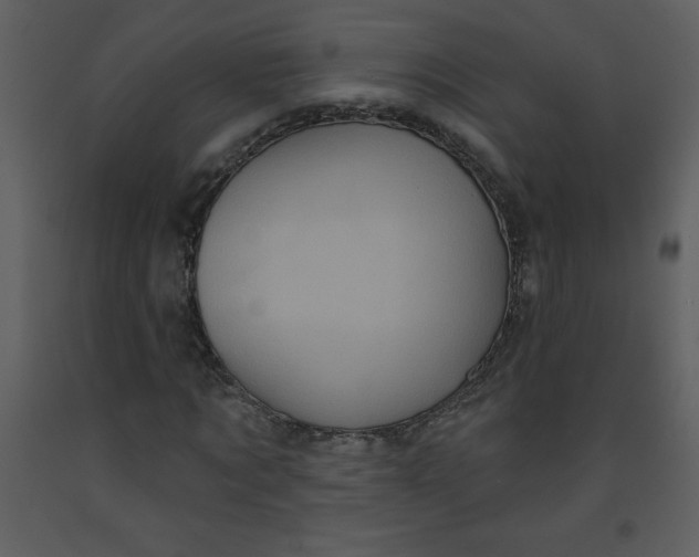 X0000093250869200710171423