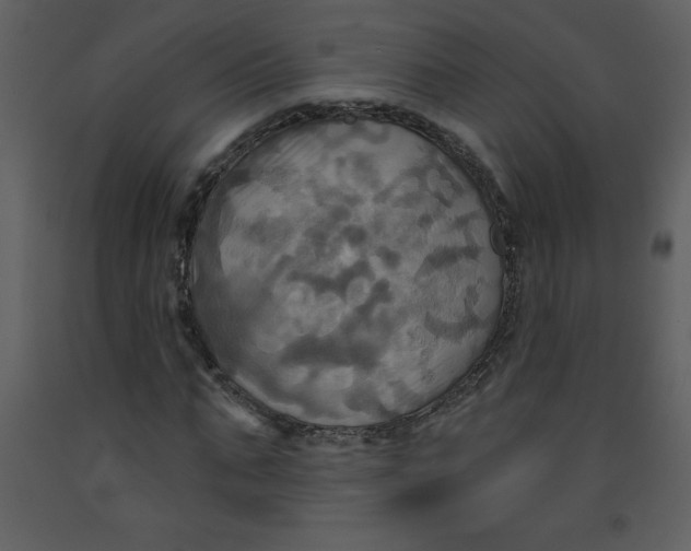 X0000093250871200710171423