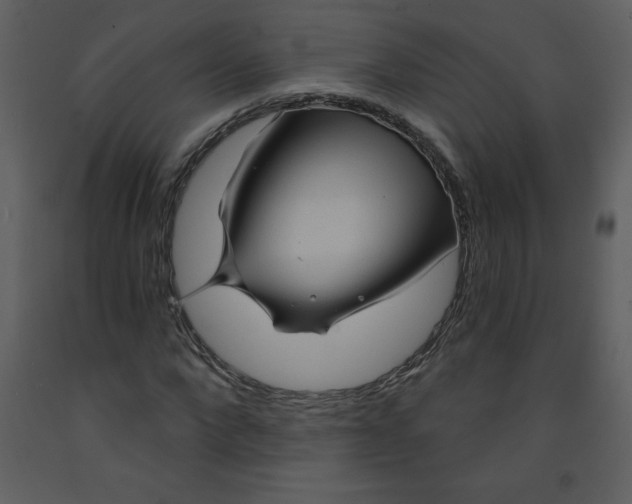 X0000093250872200710171423