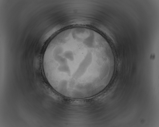 X0000093250874200710171423