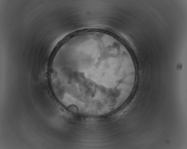 X0000093250875200710171423