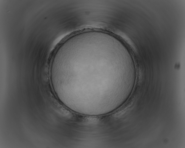 X0000093250878200710171423