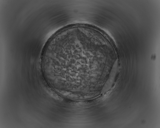 X0000093250879200710171423