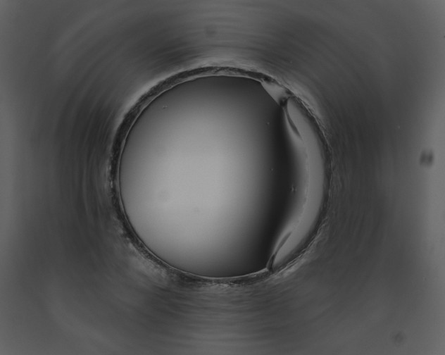 X0000093250880200710171423