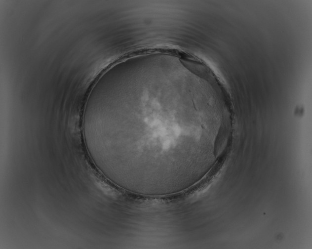 X0000093250881200710171423