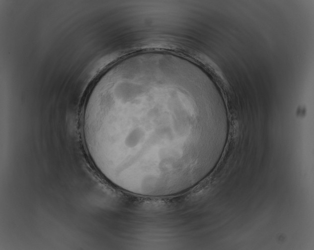 X0000093250882200710171423