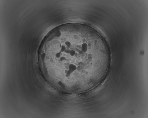 X0000093250883200710171423