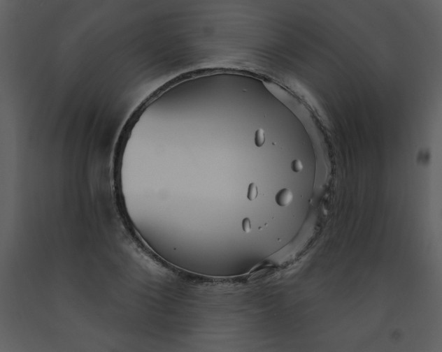 X0000093250884200710171423