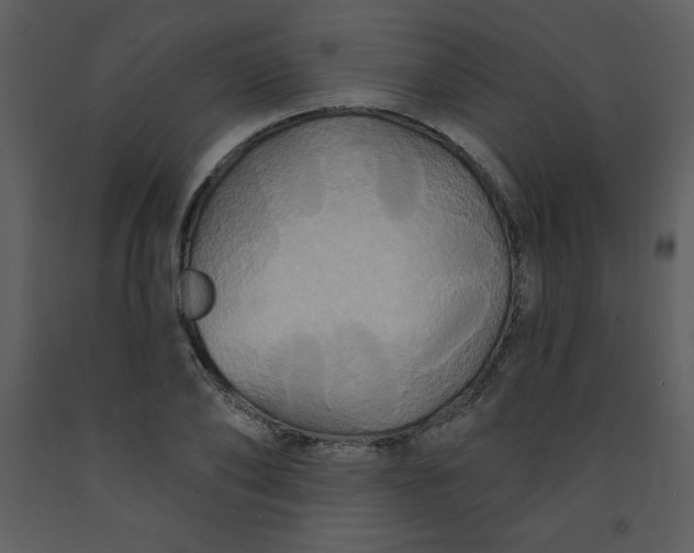 X0000093250886200710171423