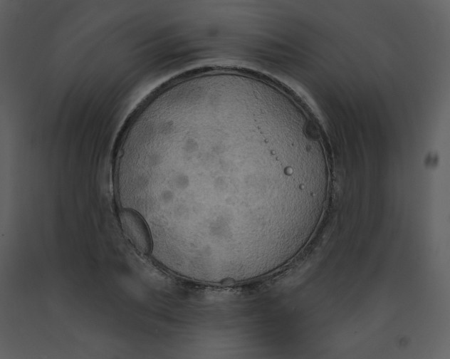 X0000093250887200710171423