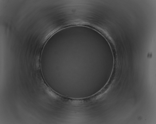 X0000093250889200710171423