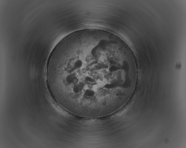 X0000093250891200710171423