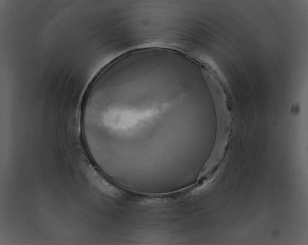 X0000093250892200710171423