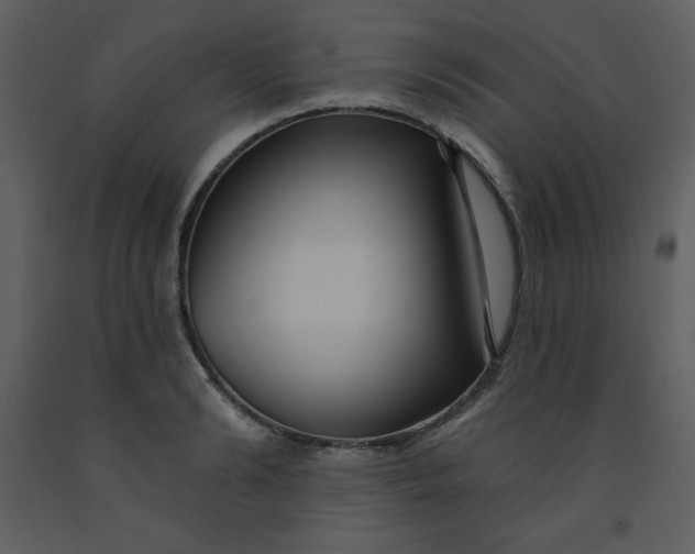 X0000093250894200710171423