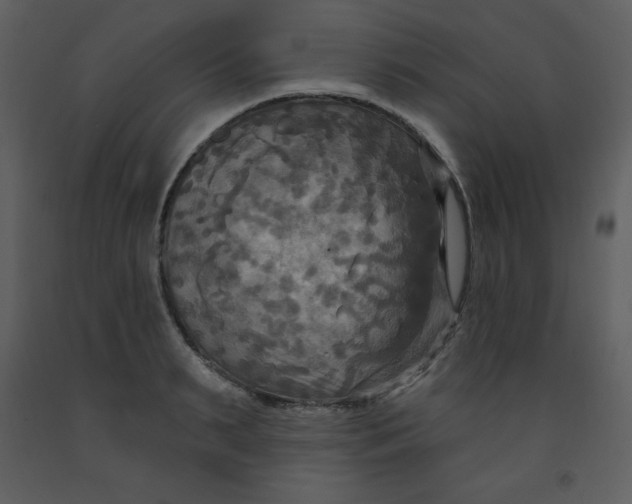 X0000093250895200710171423