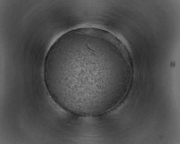 X0000093250896200710171423