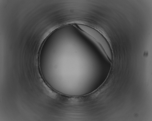 X0000093250898200710171423