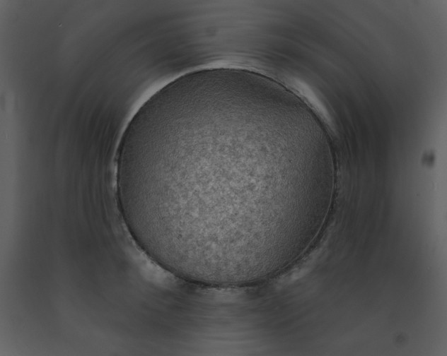 X0000093250900200710171423