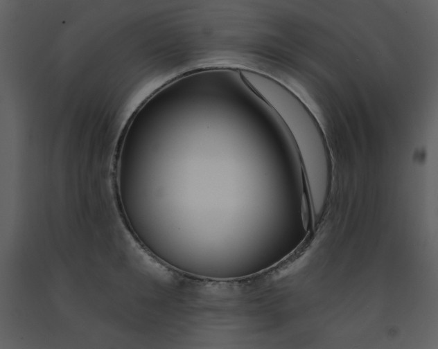 X0000093250901200710171423