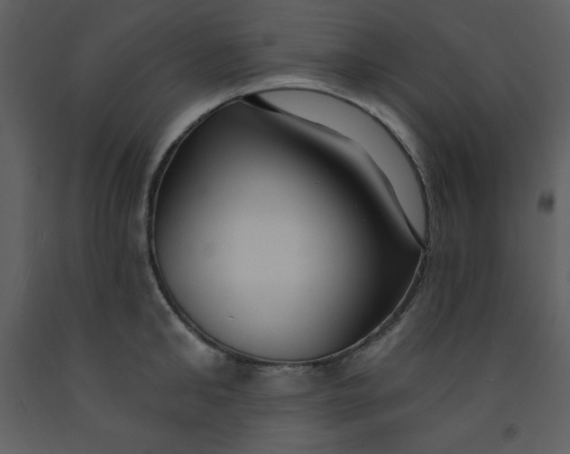 X0000093250902200710171423