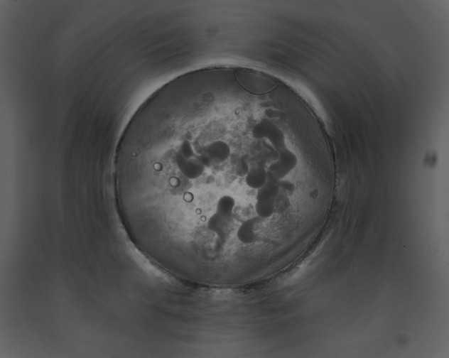 X0000093250903200710171423