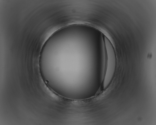 X0000093250906200710171423