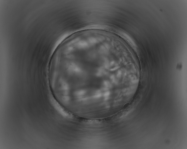 X0000093250907200710171423