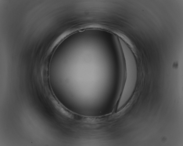 X0000093250910200710171422