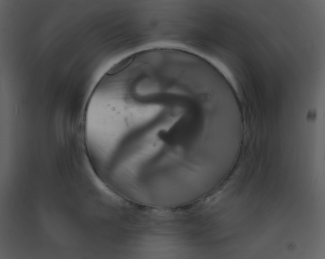 X0000093250911200710171422