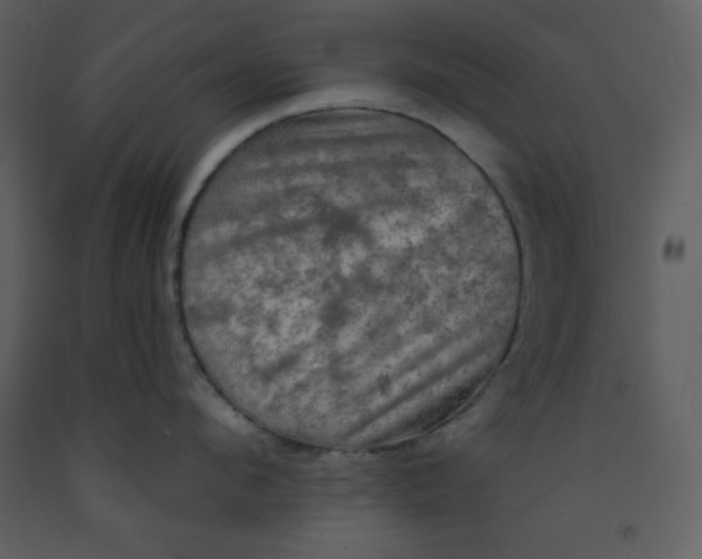 X0000093250912200710171422