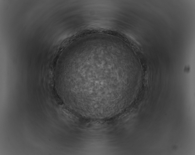 X0000093250917200710171422