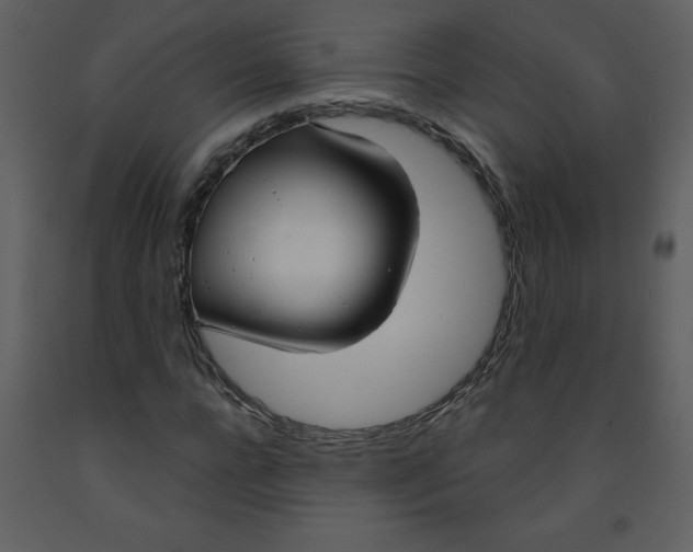 X0000093250920200710171422