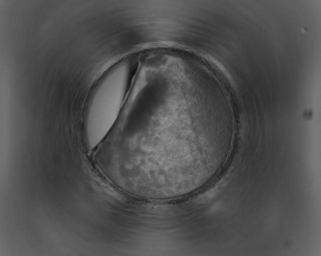 X0000093250921200710171422