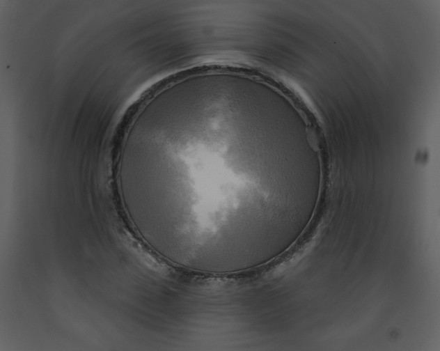 X0000093250923200710171422