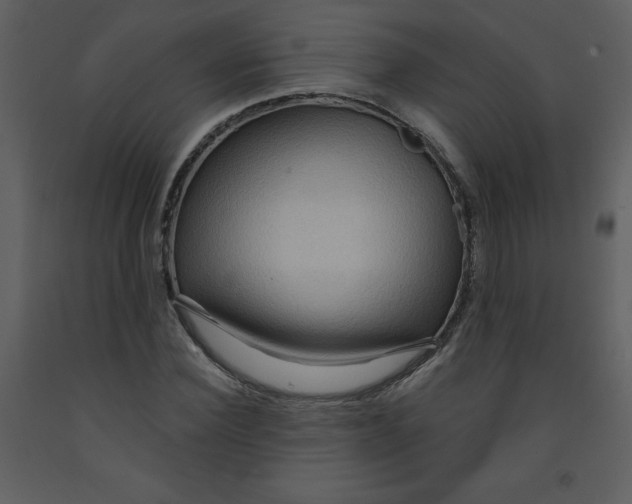 X0000093250924200710171422