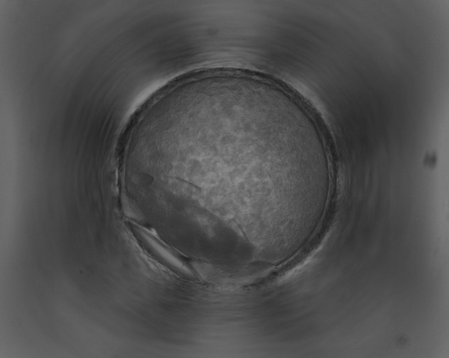 X0000093250925200710171422